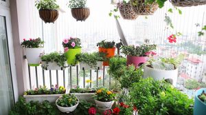Thiết kế vườn hoa nhỏ tại ban công